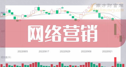 2023年第三季度中國網(wǎng)絡(luò)營銷公司營收排行榜解析